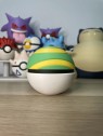 Poké Ball Nest Ball Poké Ball Nest Ball