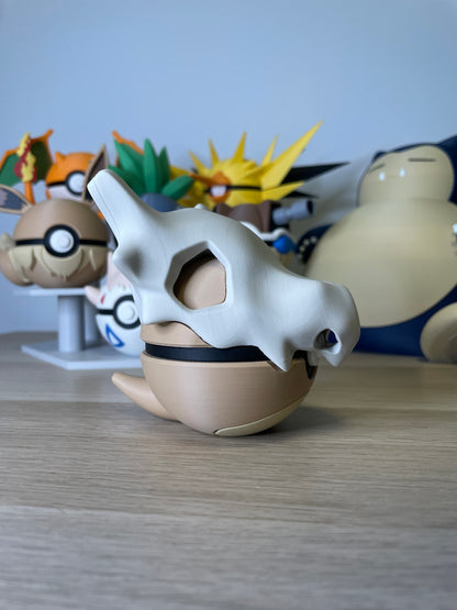 Poké Balls Pokemon